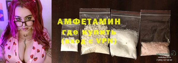 метадон Богданович