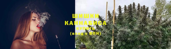 метадон Богданович