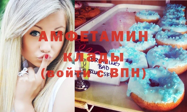 метадон Богданович