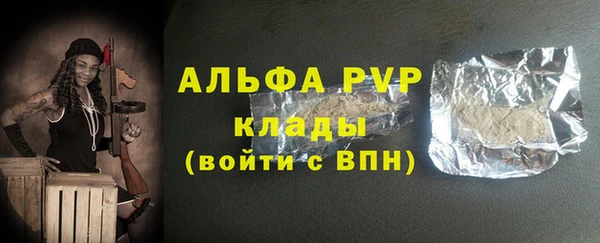 метадон Богданович